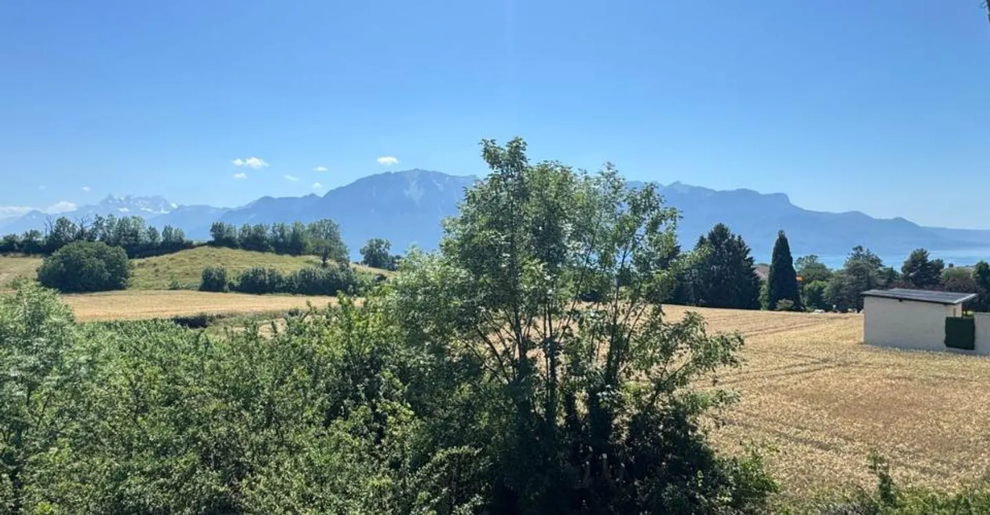 Schönes Chalet mit 4-5 Zimmern und Blick auf den See und die Dents-du-Midi - Foto 5 von 11