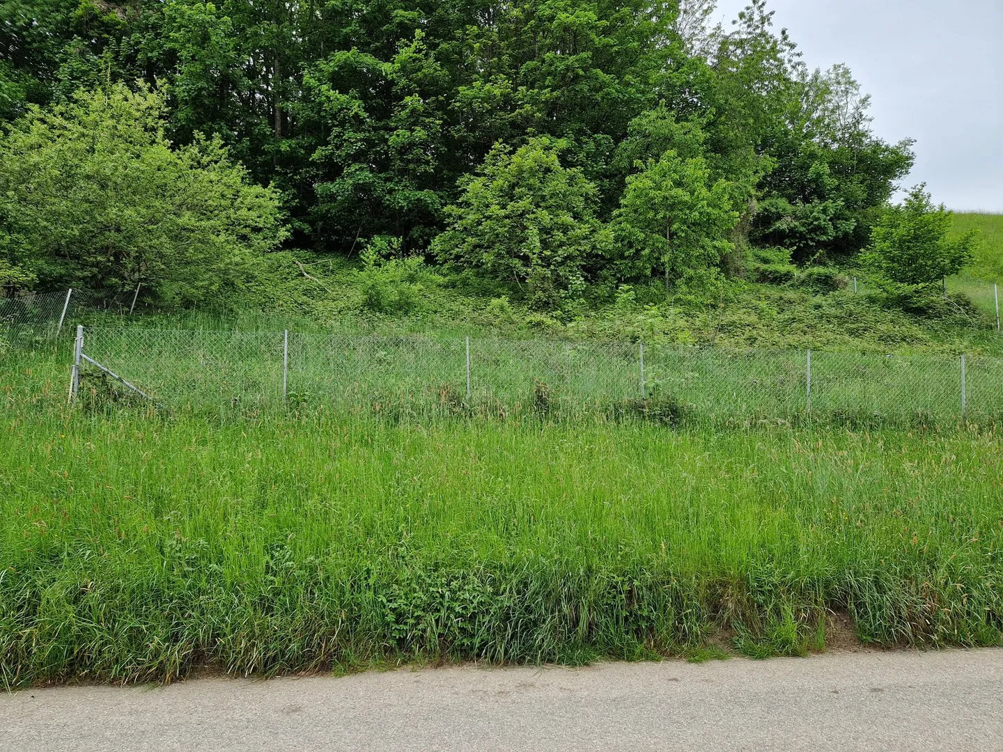 Terreno edificabile idilliaco con progetto approvato e vista da sogno a Mogelsberg - Foto 1 di 7