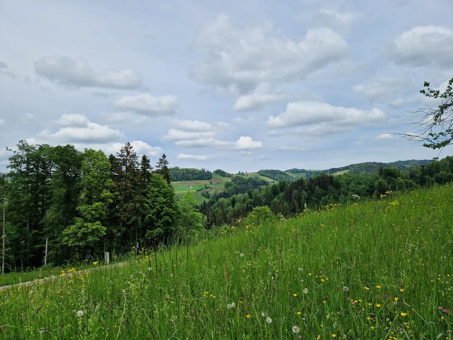 Terreno edificabile idilliaco con progetto approvato e vista da sogno a Mogelsberg - Foto 4 di 7