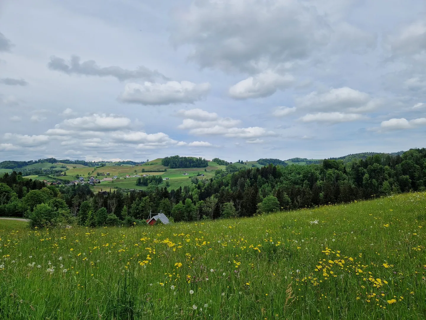 Terreno edificabile idilliaco con progetto approvato e vista da sogno a Mogelsberg - Foto 6 di 7