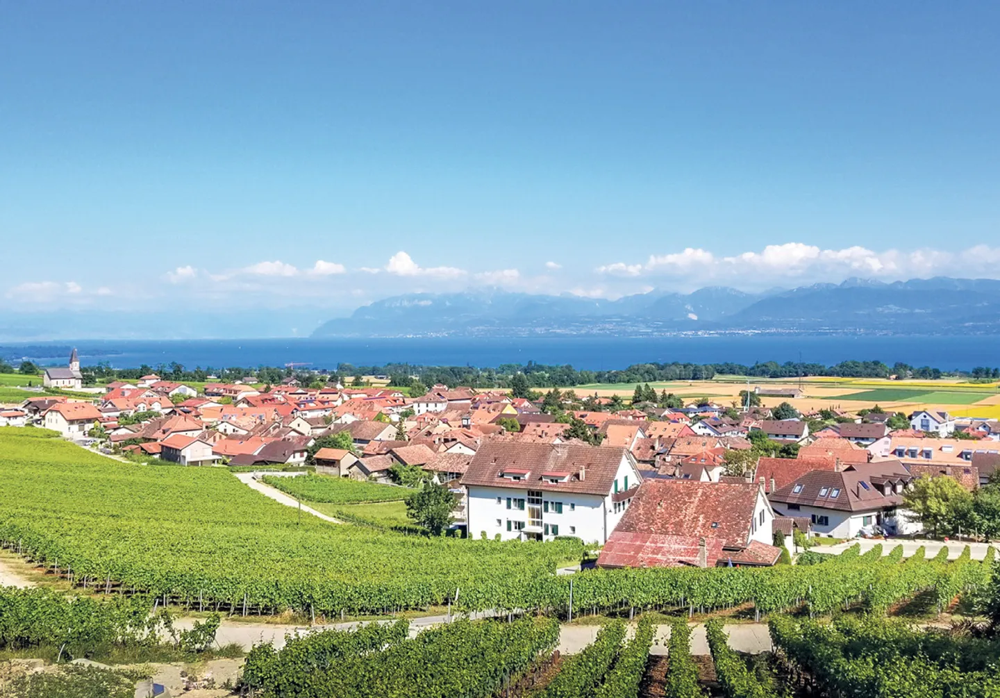 Magnificent garden-level apartment with 5.5 rooms in Gilly - Photo 1 of 2