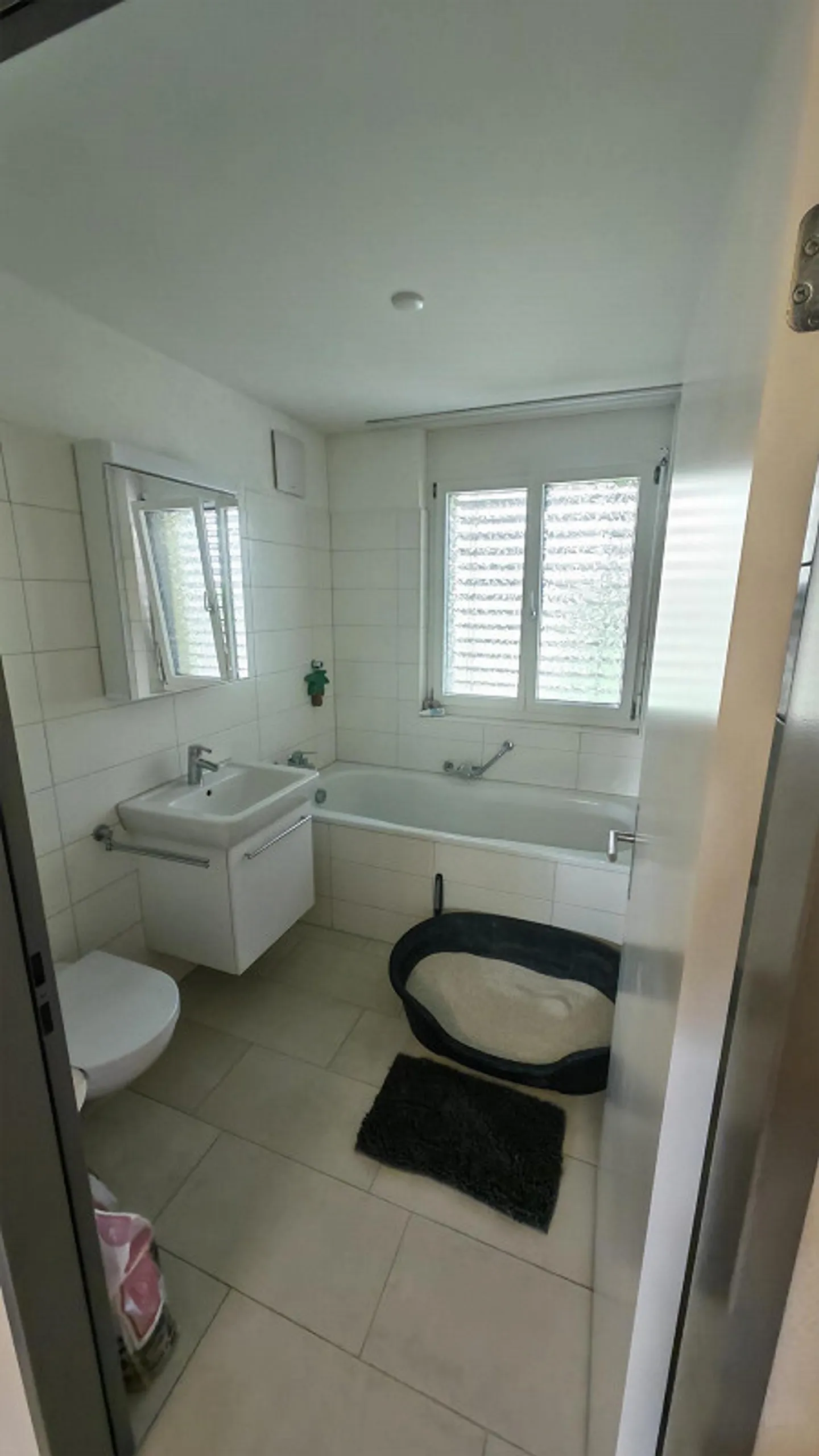 Appartement 3.5 pièces à Seengen - Photo 2 sur 6