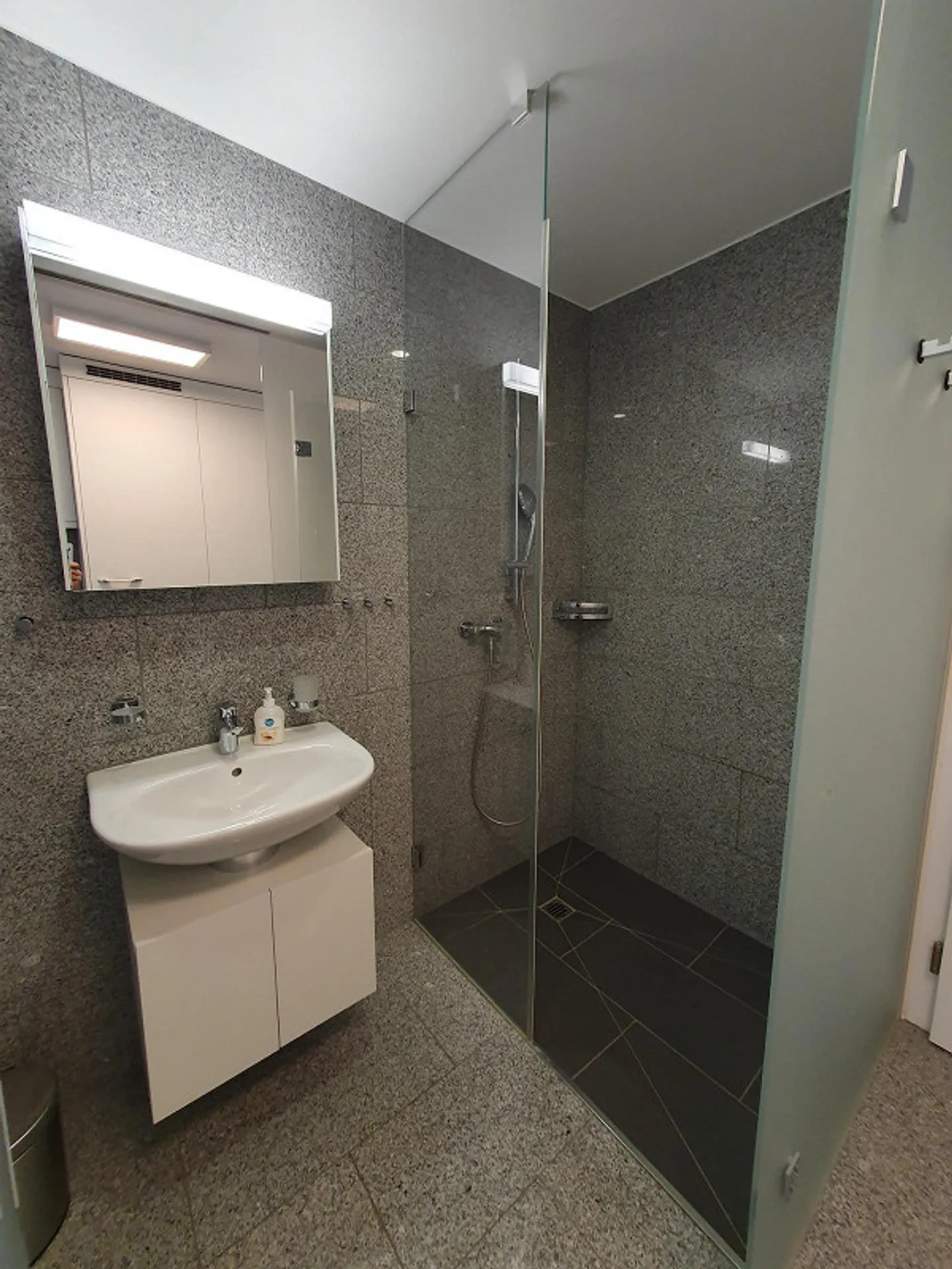 Modern 1-room apartment in the heart of Flims Waldhaus - Photo 6 of 8