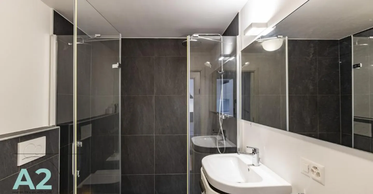 Wunderschöne 3-Zimmer-Wohnung, die komplett renoviert wurde, nur wenige Schritte vom Zentrum von Crans entfernt - Foto 10 von 10
