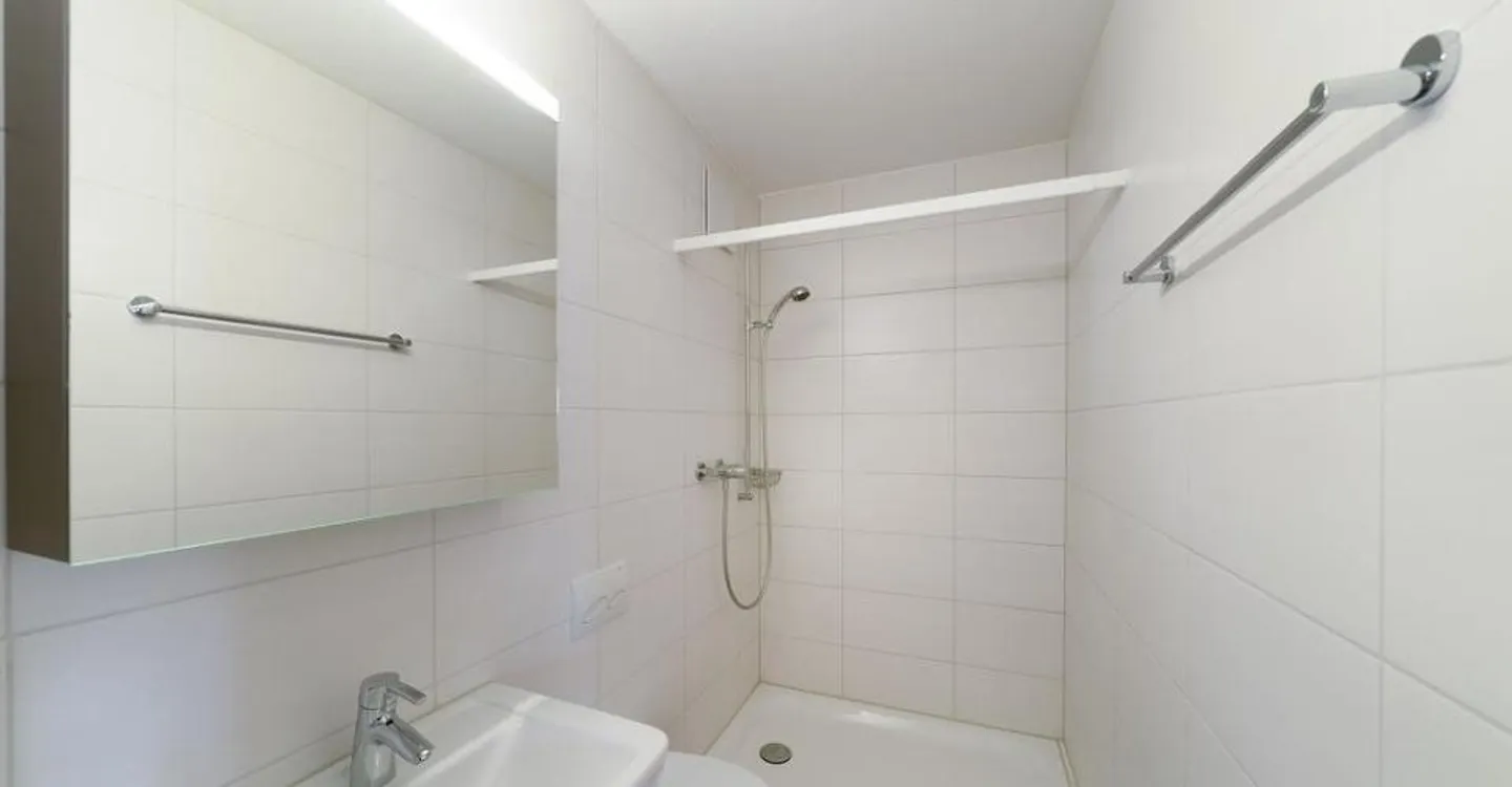 2 bathrooms (1x bath, 1x shower), balcony with evening sun - Photo 10 of 10