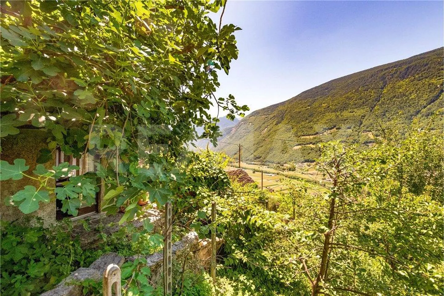 Proprietà rustica affascinante con terreno - Foto 10 di 13
