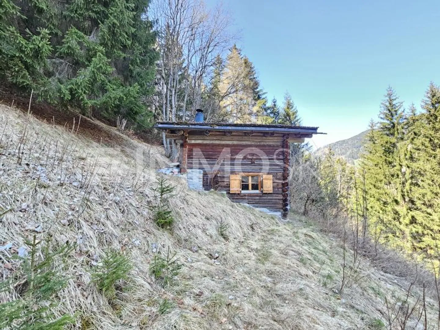 Dove il tempo si ferma - Il tuo rifugio nel bosco - Foto 1 di 6
