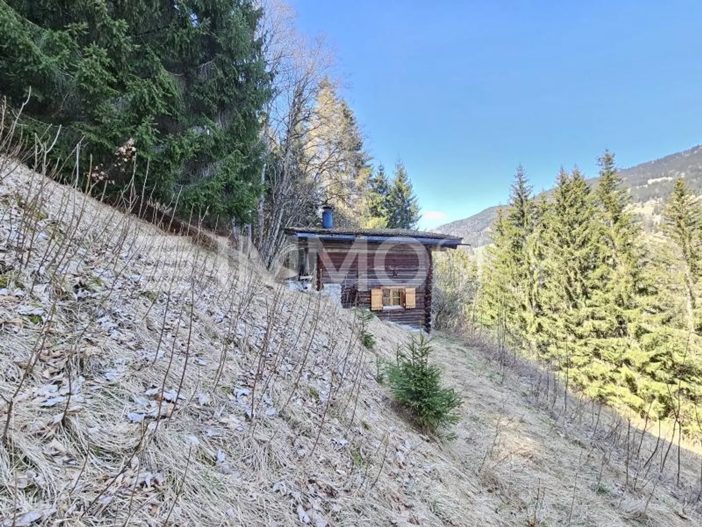 Dove il tempo si ferma - Il tuo rifugio nel bosco - Foto 2 di 6