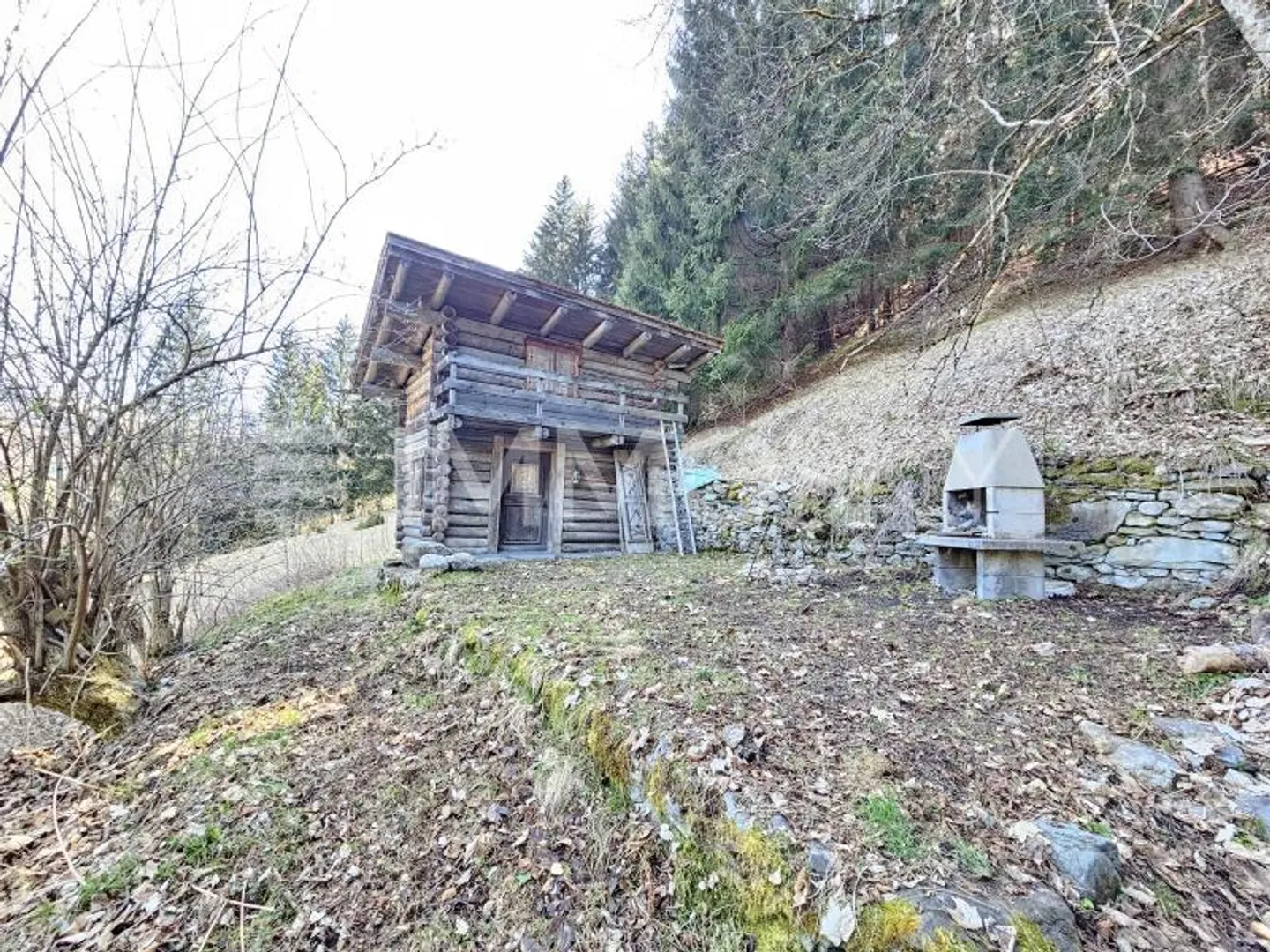 Dove il tempo si ferma - Il tuo rifugio nel bosco - Foto 3 di 6