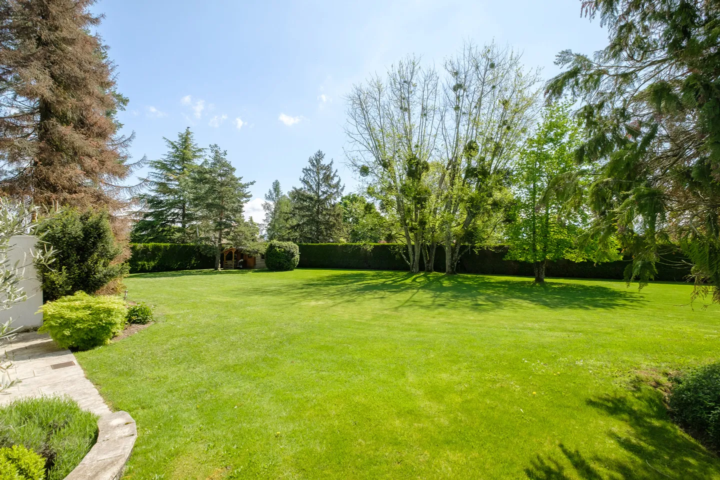 En exclusivité, Magnifique parcelle de 4'000 m2 constructible, Tannay - Photo 1 sur 1