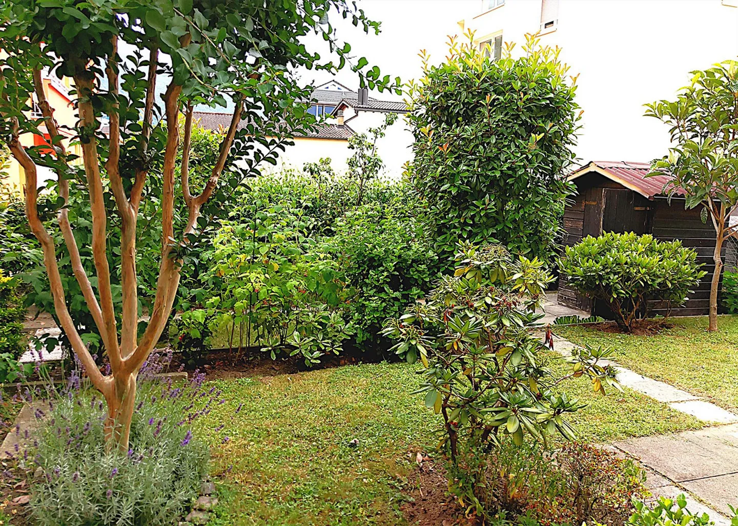 Ampio appartamento 2.5 locali con giardino a Giubiasco - Photo 7 sur 9