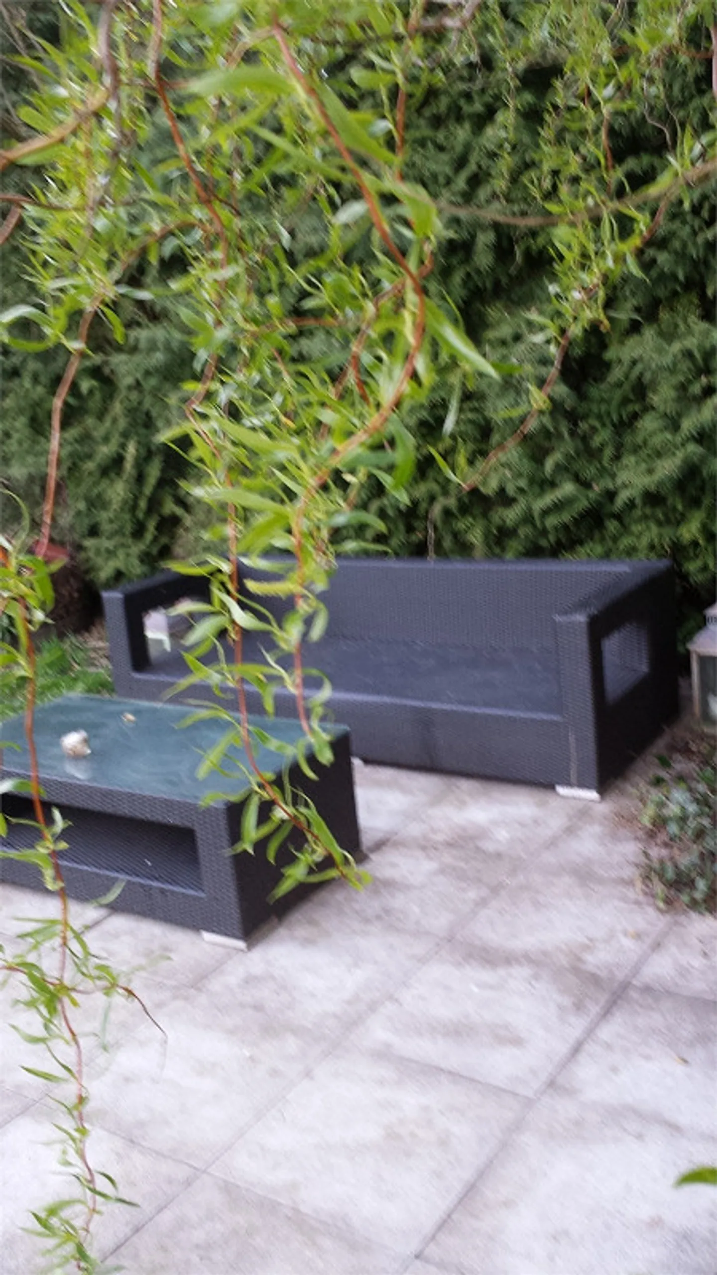 absolut ruhige 3 1/2 Zi-Whg (zentral gelegen) - Foto 5 von 13