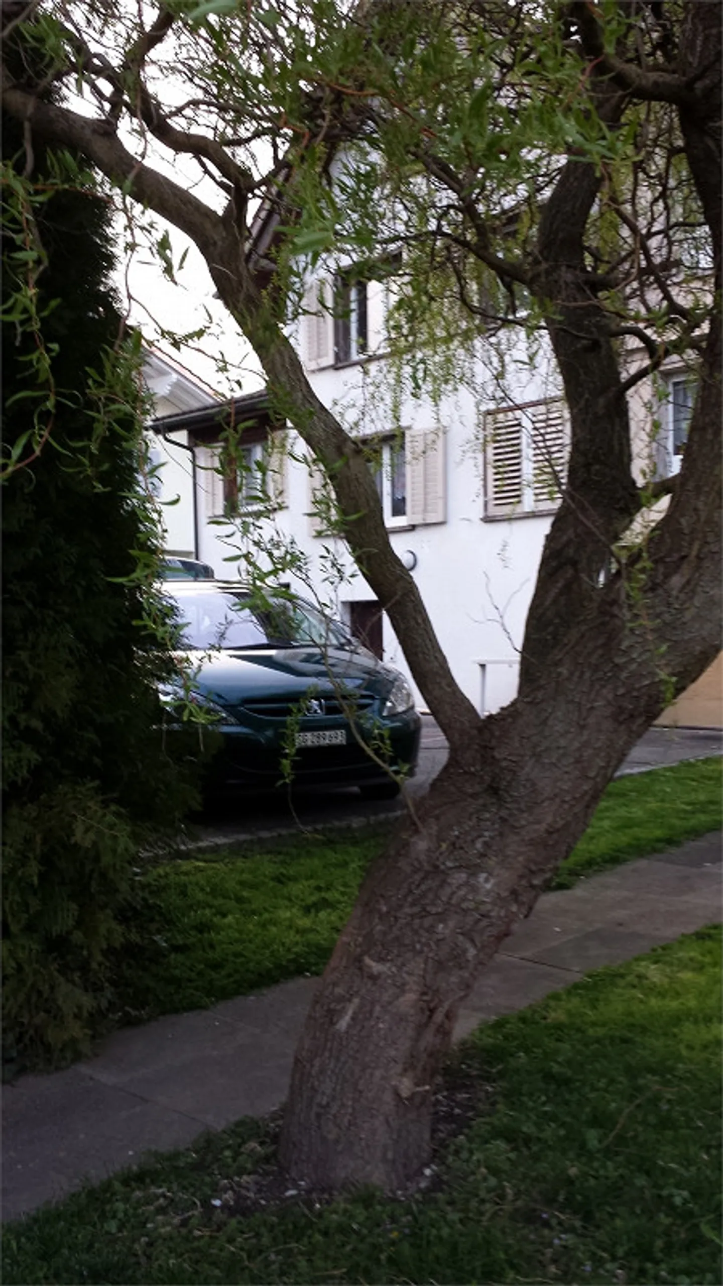 absolut ruhige 3 1/2 Zi-Whg (zentral gelegen) - Foto 6 von 13