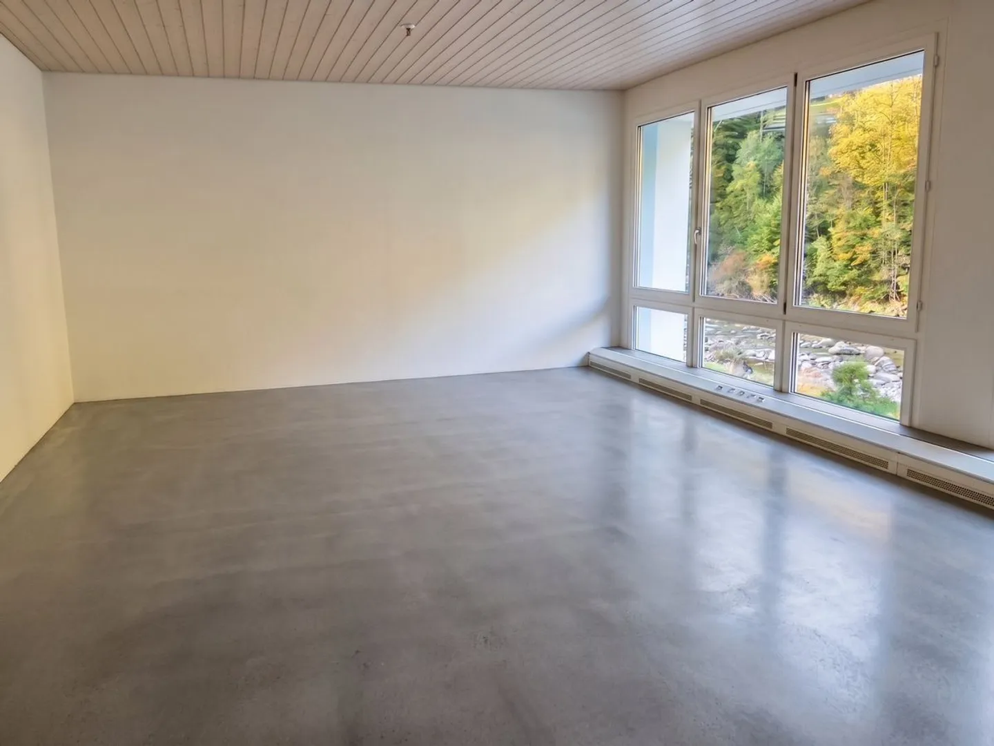 Spazi commerciali attraenti tra Zurigo e Zug - utilizzo flessibile - Foto 4 di 6