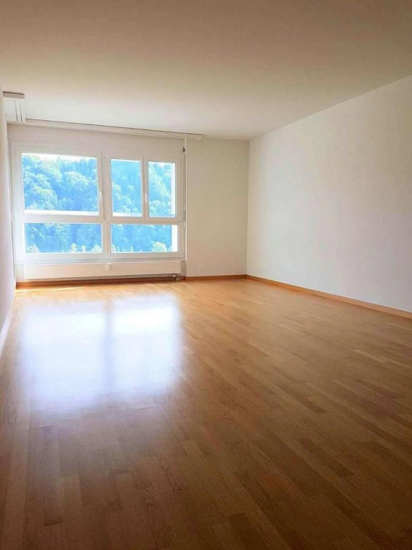 Dream home with a view of the greenery and Lake Wohlensee! - Photo 5 of 7