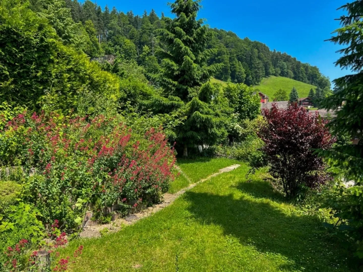 Sonniges Einfamilienhaus im Grünen - Foto 3 von 8