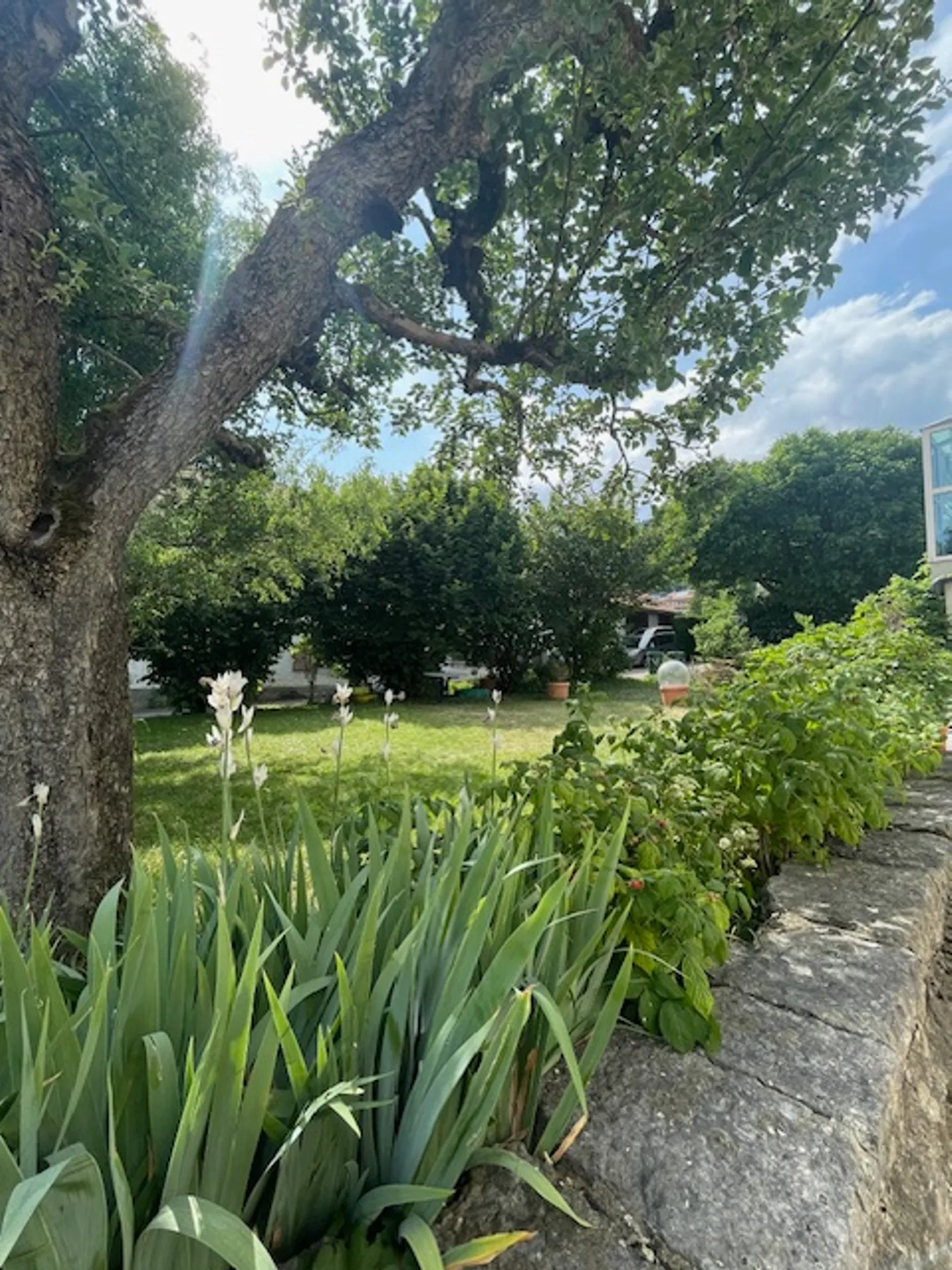 4,5-Zimmer-Wohnung - Foto 2 von 9