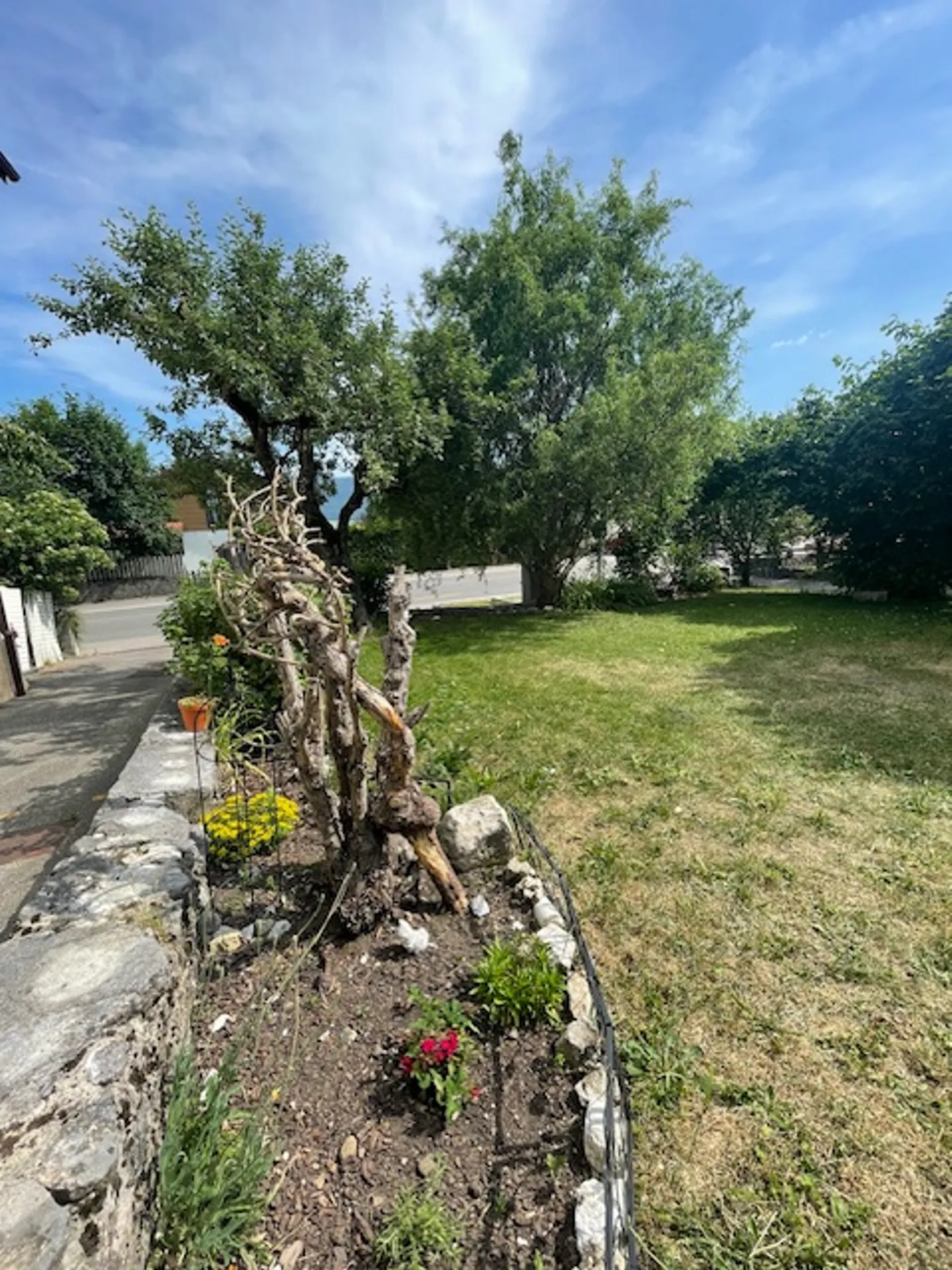 4,5-Zimmer-Wohnung - Foto 3 von 9