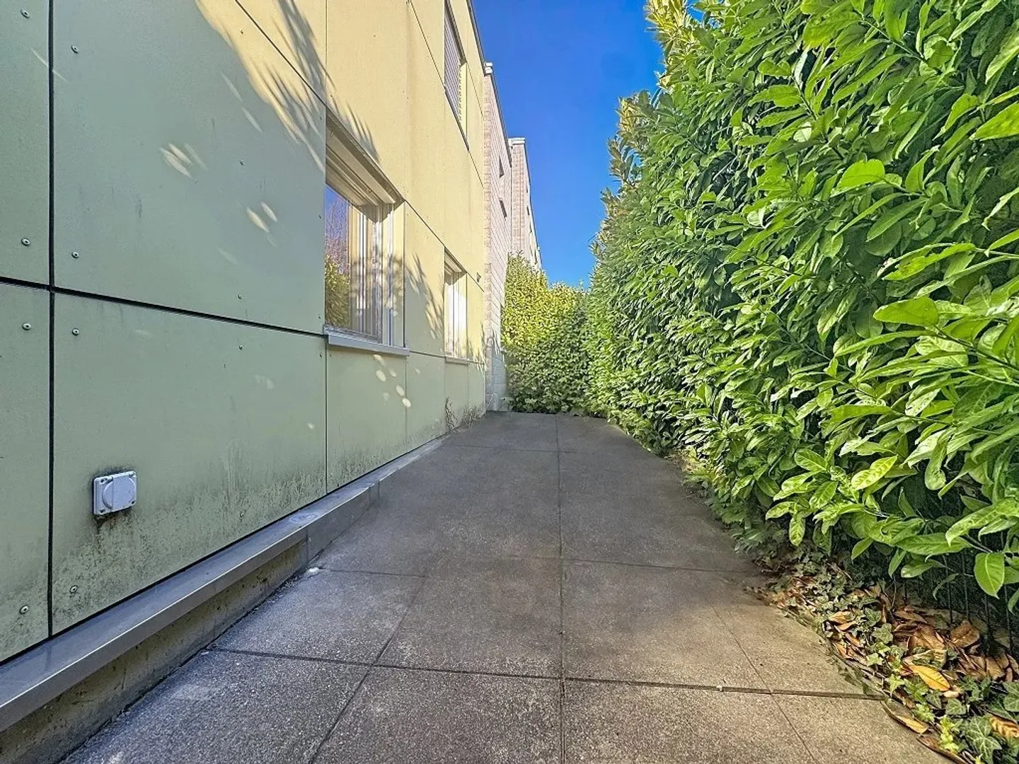 4.5 stanze con terrazza in affitto a Saillon - Foto 8 di 8