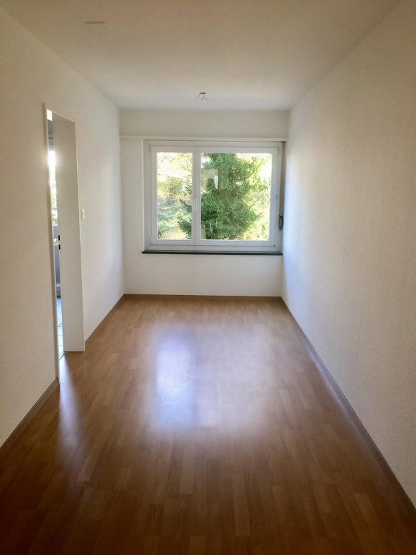 Una posizione idilliaca e tranquilla a Witikon - Foto 4 di 6