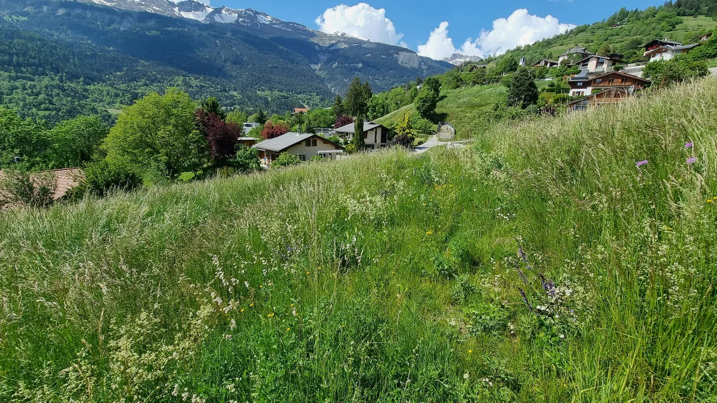 Terrain - Libre de Mandat - Icogne - EXCLUSIVITÉ - Ref. 10265560 - Photo 5 sur 7