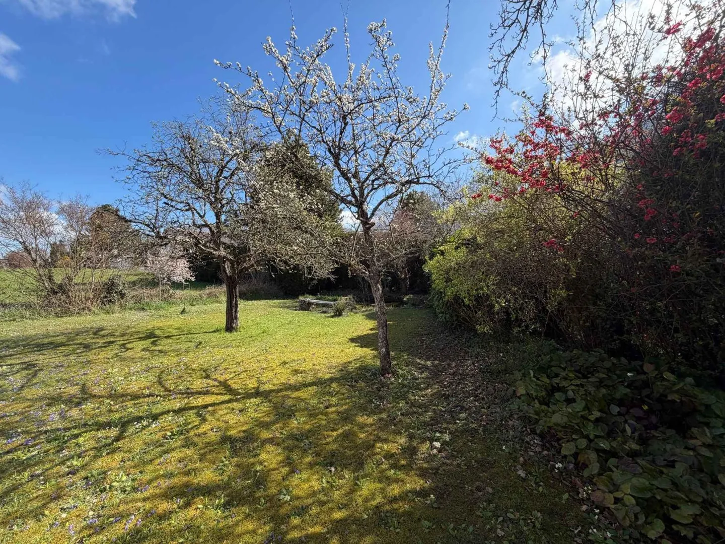 Villa 7 rooms - Photo 4 of 8