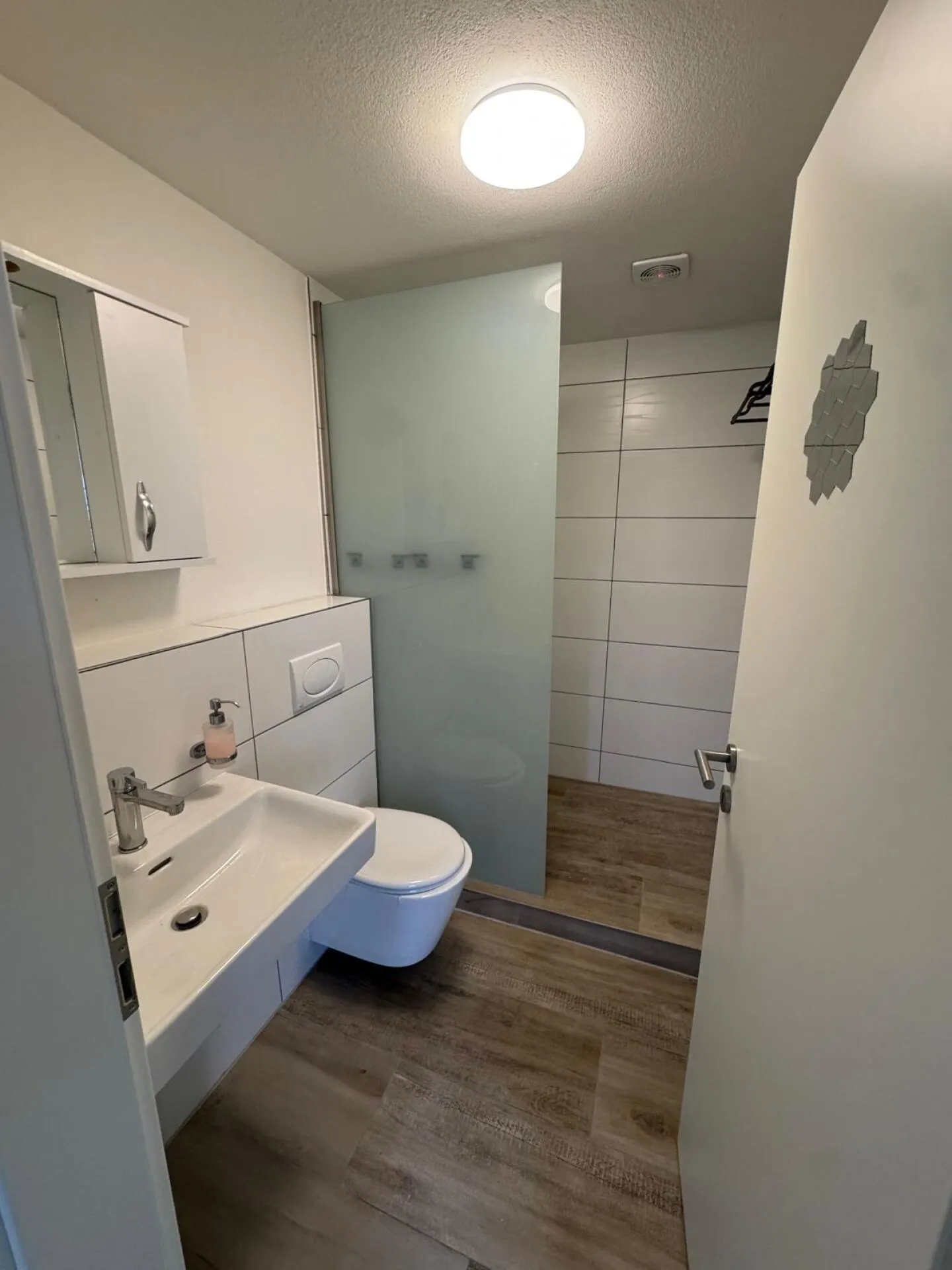 Prima locazione, appartamento 2.0 stanze completamente ristrutturato - Foto 4 di 5