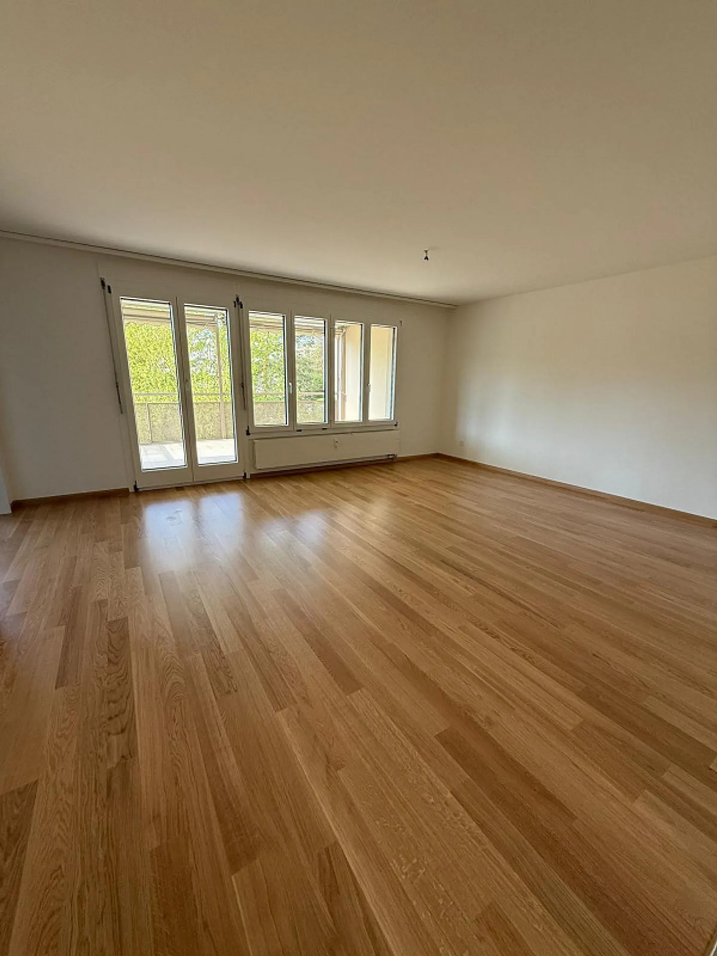 Moderno appartamento di 3,5 stanze vicino alla piscina del giardino di Aesch - Foto 3 di 11