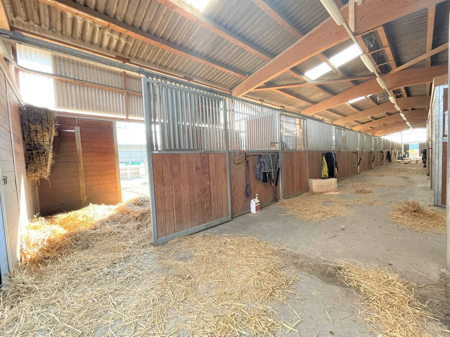 Centre Équestre Yverdon - Photo 12 sur 13