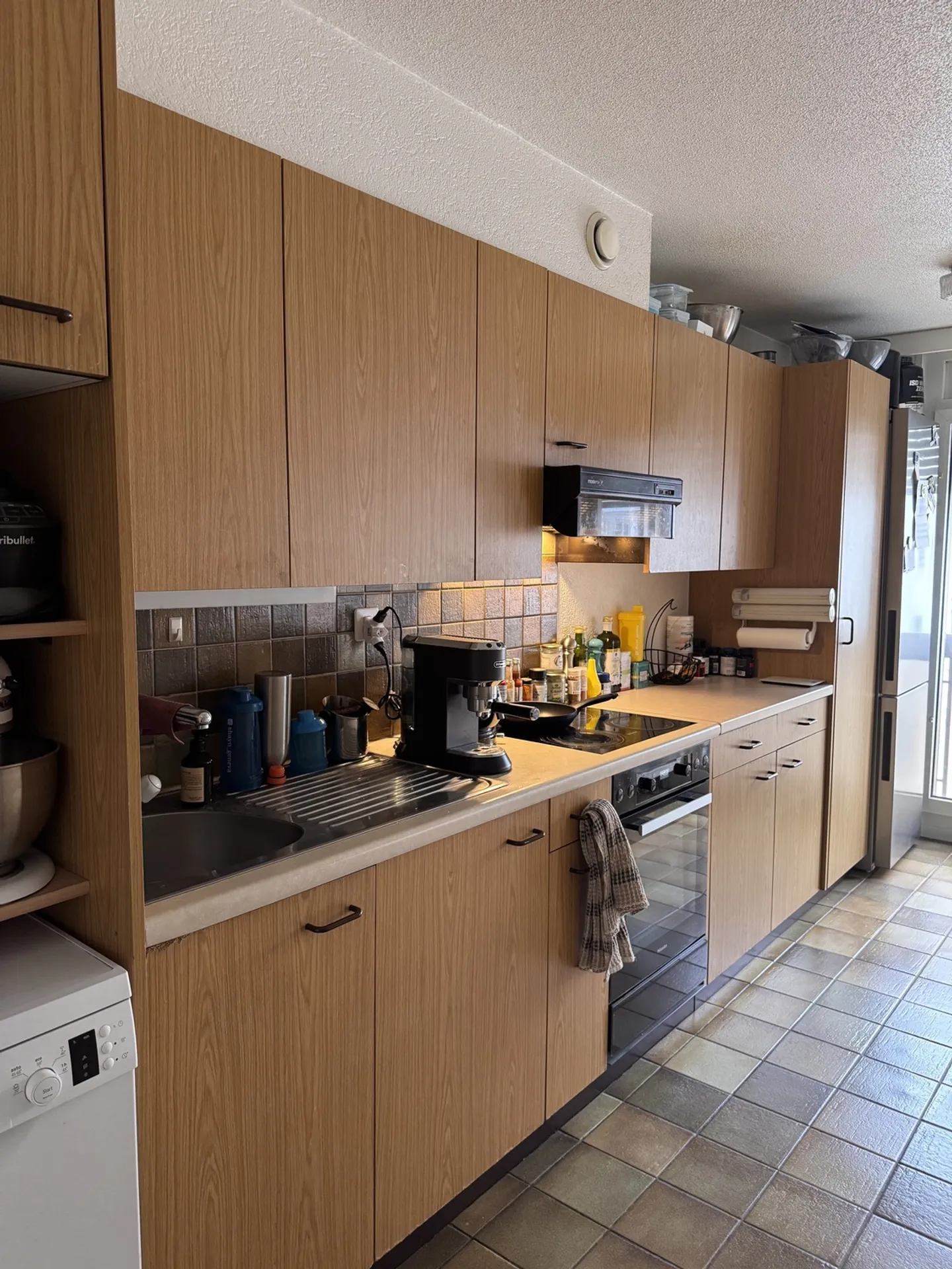 APPARTAMENTO 4 LOCALI A GINEVRA - CENTRO, ARREDATO - Foto 5 di 9