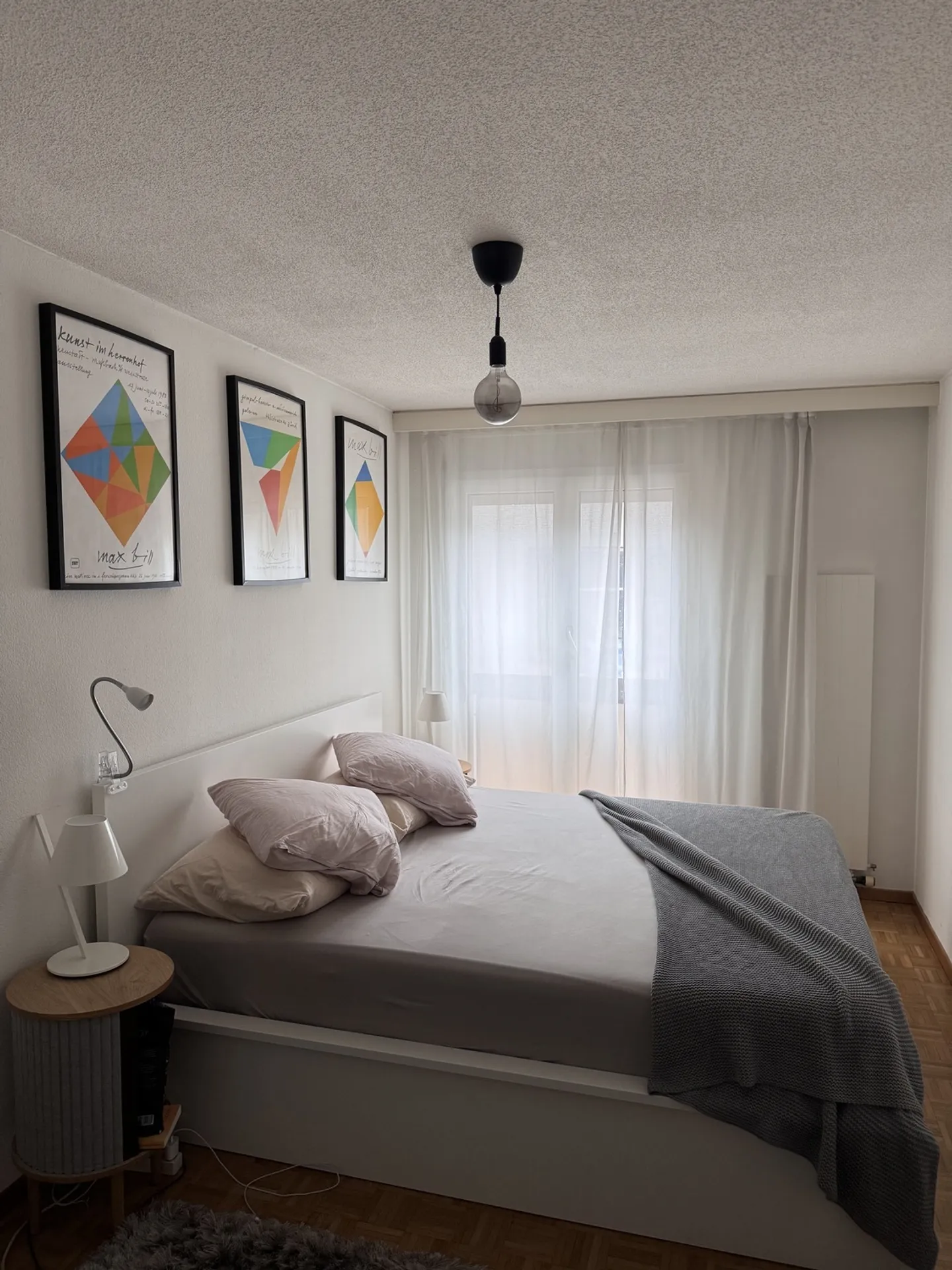 APPARTAMENTO 4 LOCALI A GINEVRA - CENTRO, ARREDATO - Foto 7 di 9