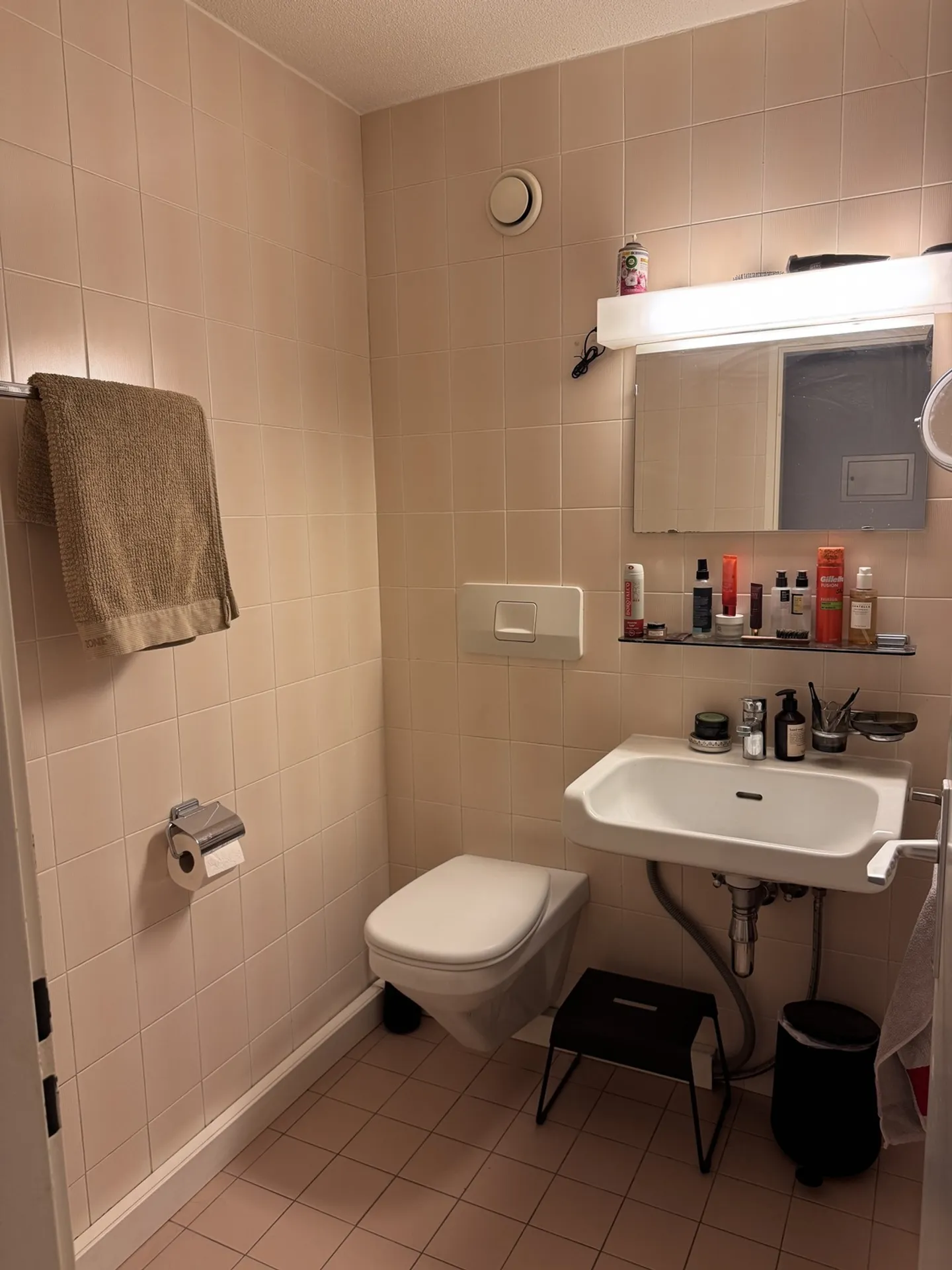 APPARTAMENTO 4 LOCALI A GINEVRA - CENTRO, ARREDATO - Foto 9 di 9