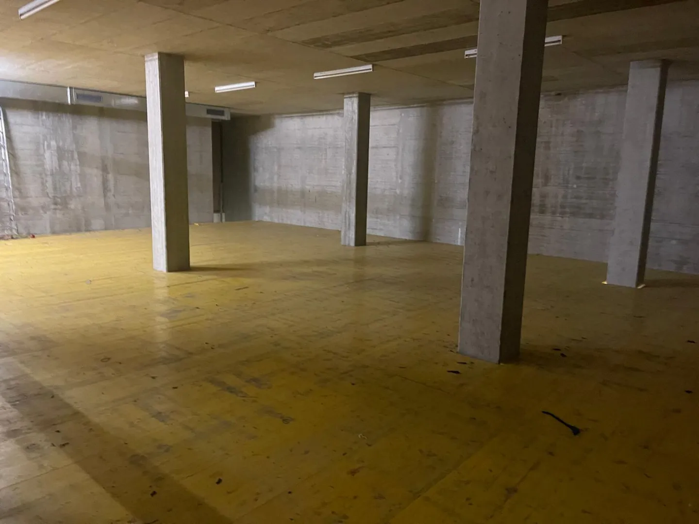 Espace commercial et surface de stockage à Aesch BL - Photo 1 sur 5