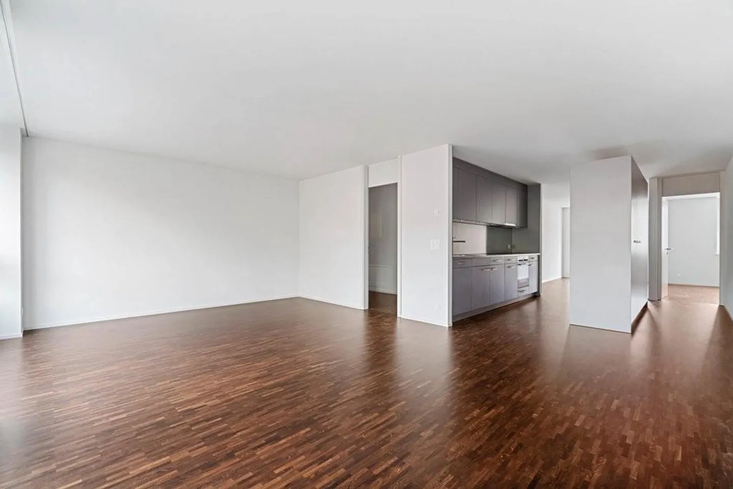 Modern Apartment in Biel - Photo 3 of 10