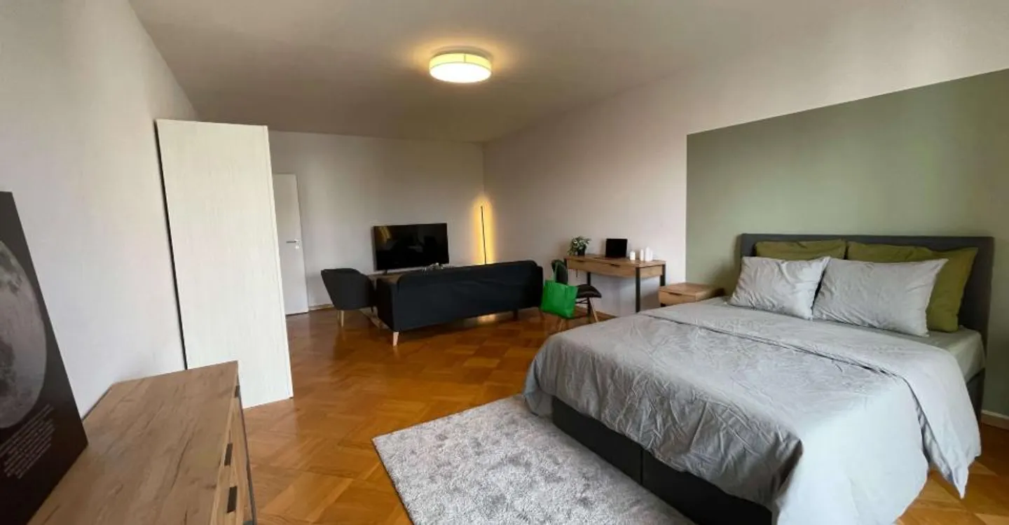 Furnished Room in Prime Location - Photo 4 of 13