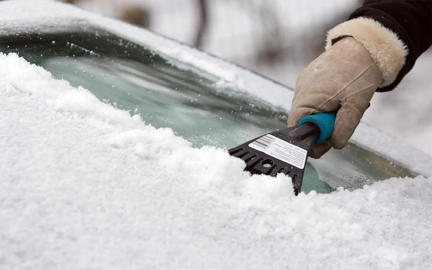 Offerta calda invece di fetta fredda! - Foto 1 di 2