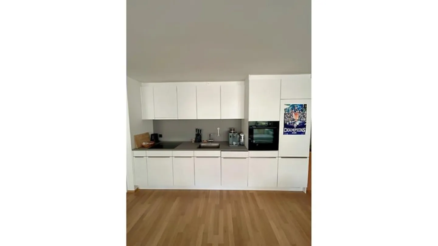 3½ ROOM APARTMENT IN BERN - BREITENRAIN, FURNISHED, TEMPORARY - Photo 3 of 10