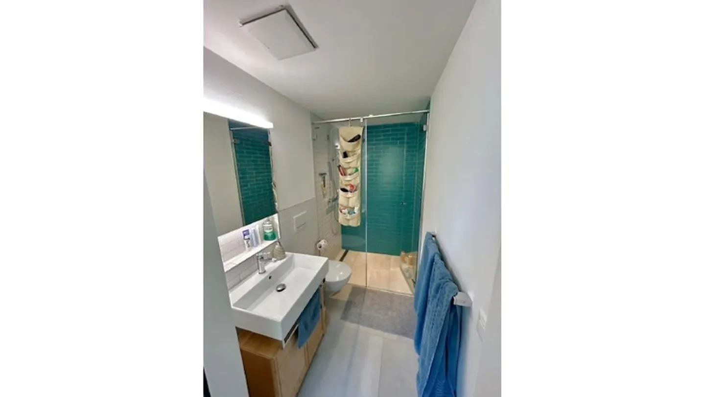 3½ ROOM APARTMENT IN BERN - BREITENRAIN, FURNISHED, TEMPORARY - Photo 7 of 10
