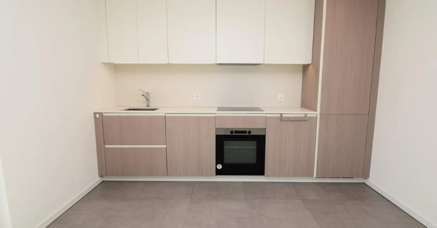 Modern apartment (built in 2017) in the heart of Vallemaggia... - Photo 3 of 8