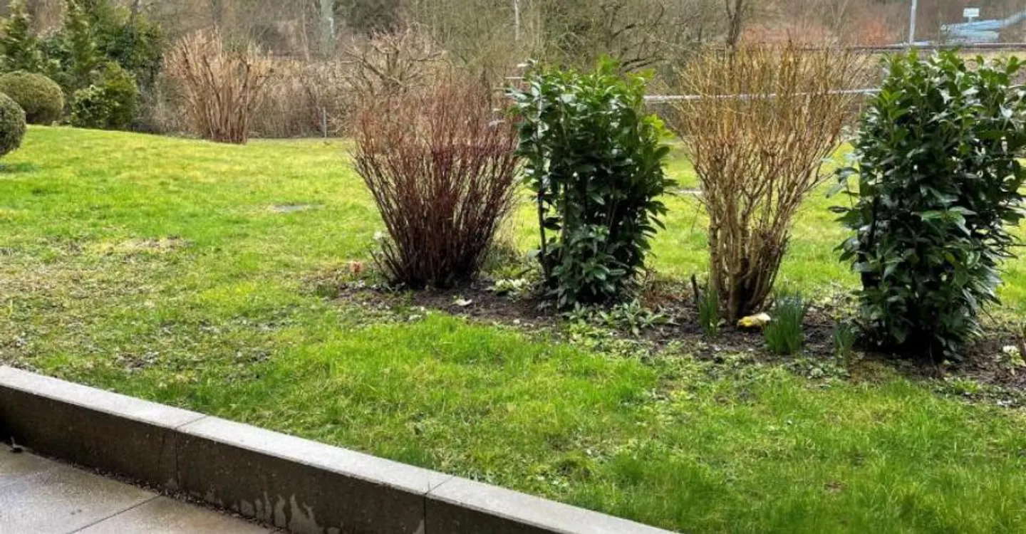 Cozy 3.5 Room Apartment with Garden Seating Area! - Photo 6 of 8