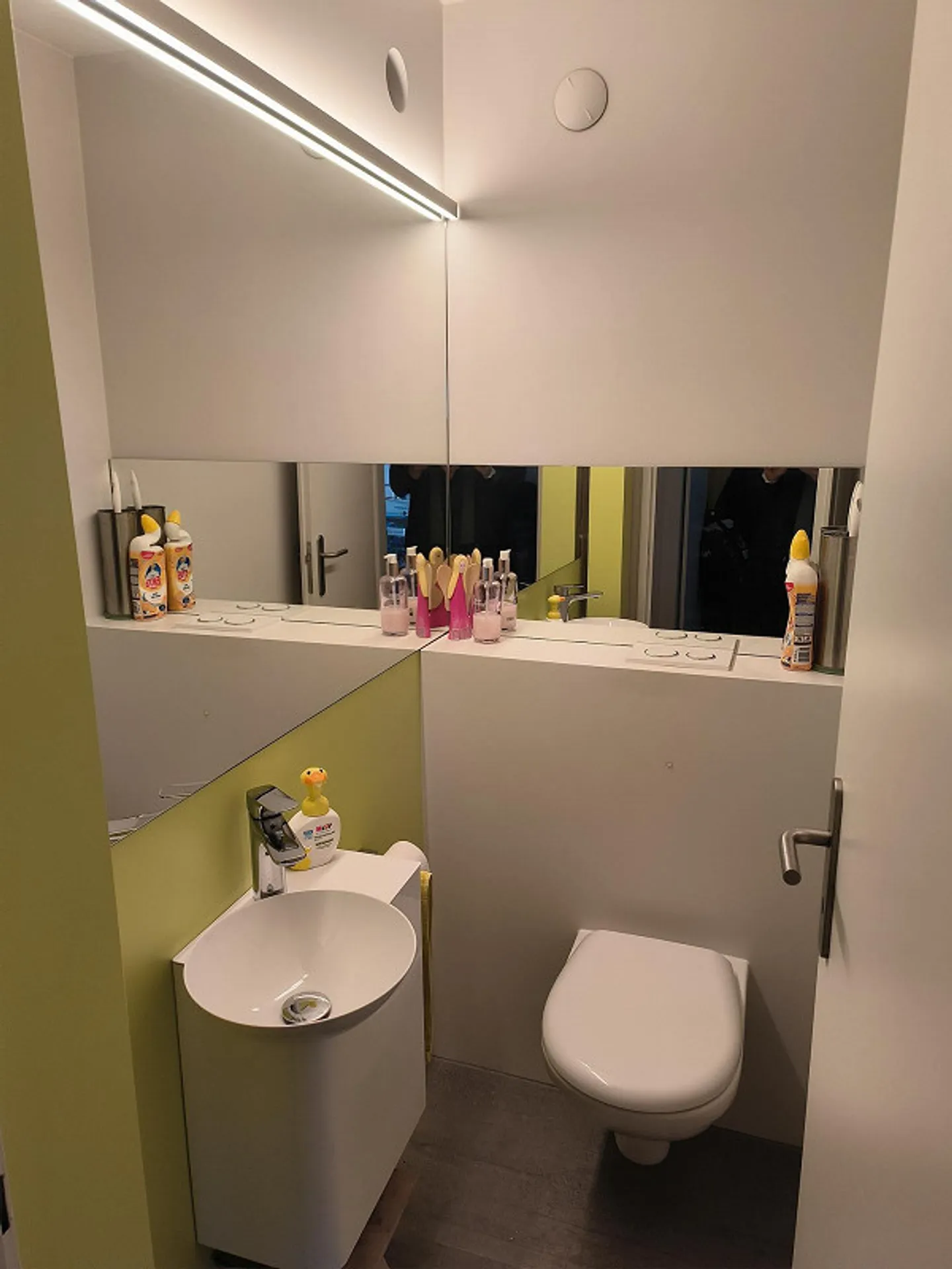 Appartamento 4.5 stanze con vista - Foto 3 di 14