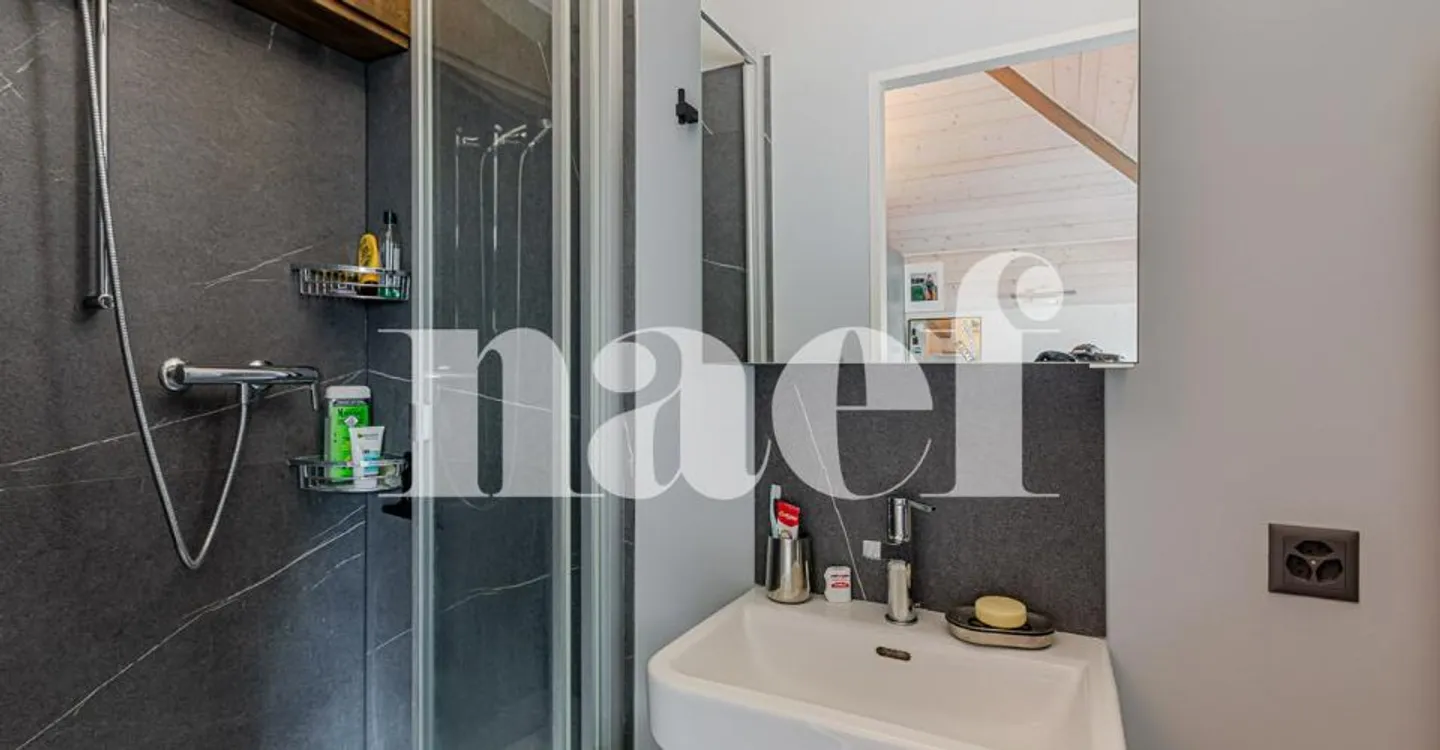 Charming Townhouse in Troinex - Photo 10 of 10