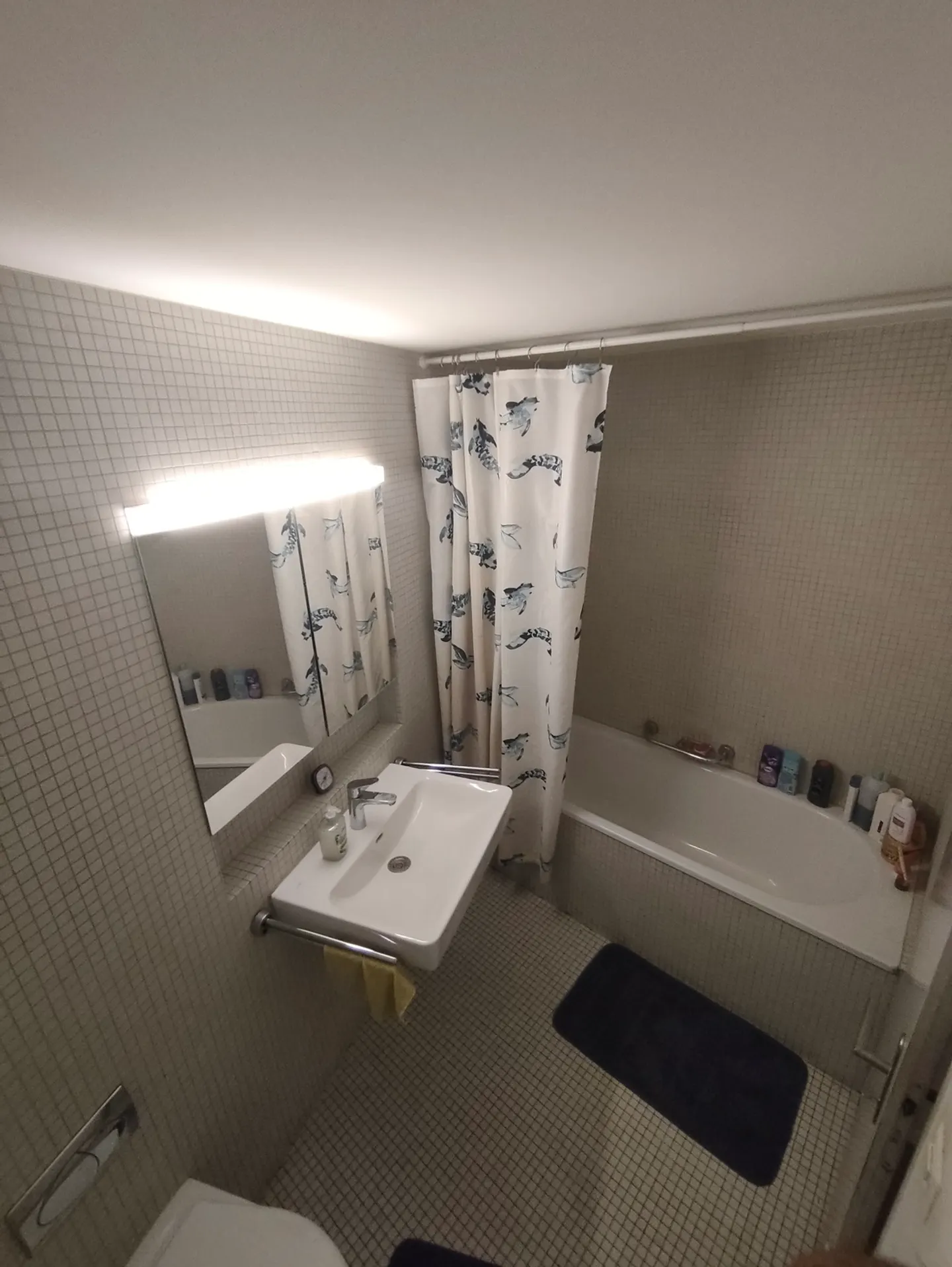 APPARTEMENT 2½ PIÈCES À DIETIKON (ZH), MEUBLÉ, TEMPORAIRE - Photo 6 sur 8
