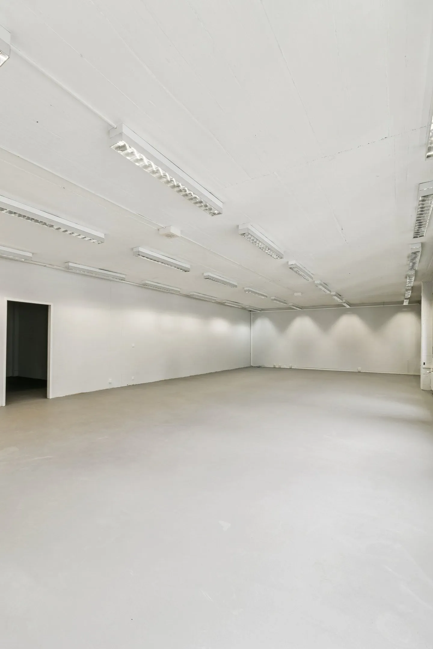 Your new company headquarters in the heart of Binz - 145 m² open space that thinks with you - Photo 9 of 12