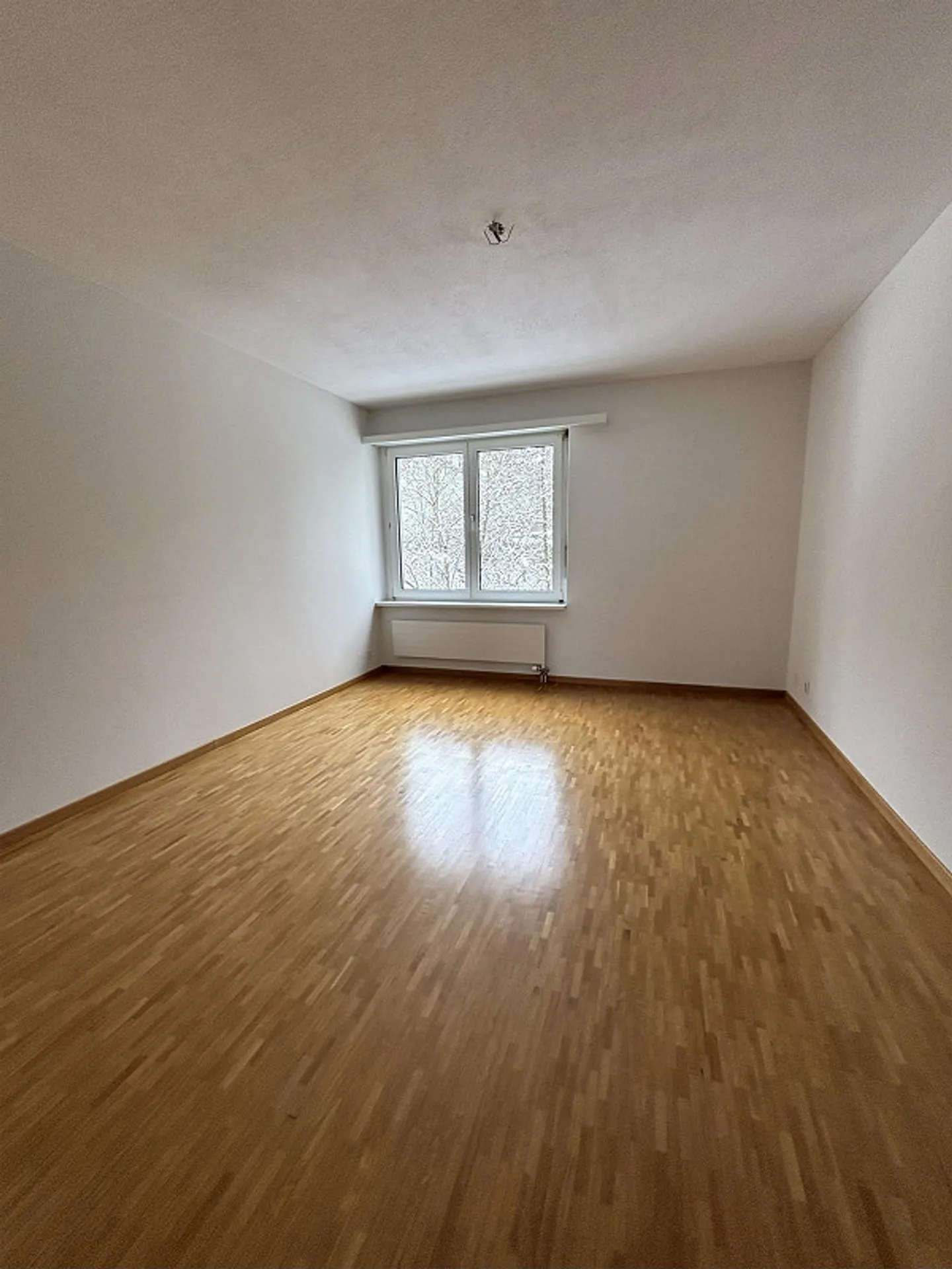 Hier endet Ihre Wohnungssuche - Foto 3 von 9