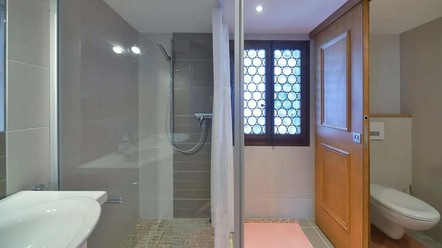 AFFITTO SETTIMANALE - IL LUCERTOLA - LES DIABLERETS - Foto 9 di 13