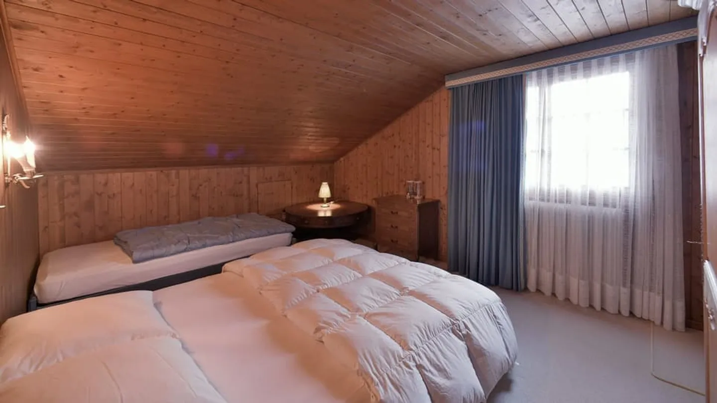 AFFITTO SETTIMANALE - IL LUCERTOLA - LES DIABLERETS - Foto 10 di 13