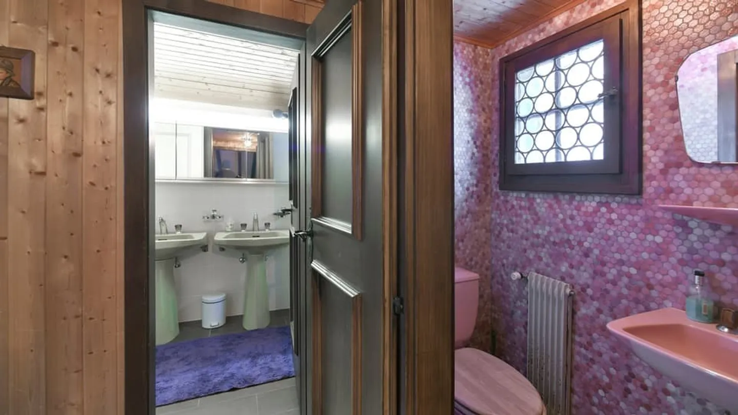 AFFITTO SETTIMANALE - IL LUCERTOLA - LES DIABLERETS - Foto 13 di 13