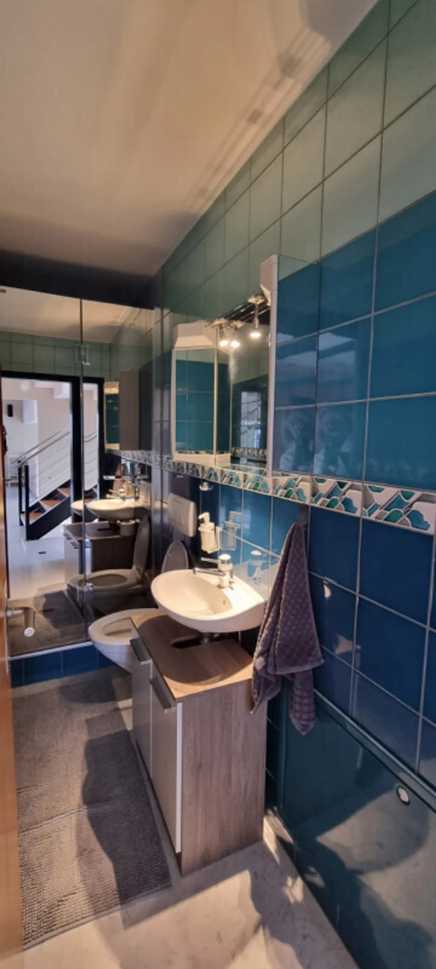 Individual villa with 7.5 rooms - Photo 5 of 13