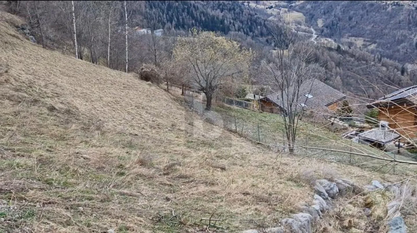 „BELLA PARCELLA EDIFICABILE“ - Foto 4 di 6